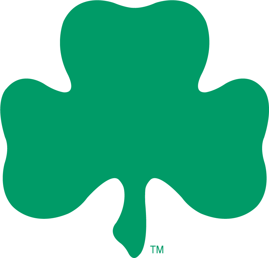 Notre Dame Fighting Irish 1994-2006 Secondary Logo diy iron on heat transfer